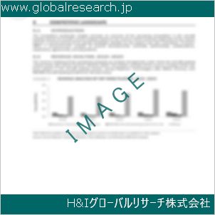 グローバルリサーチ調査資料のイメージ